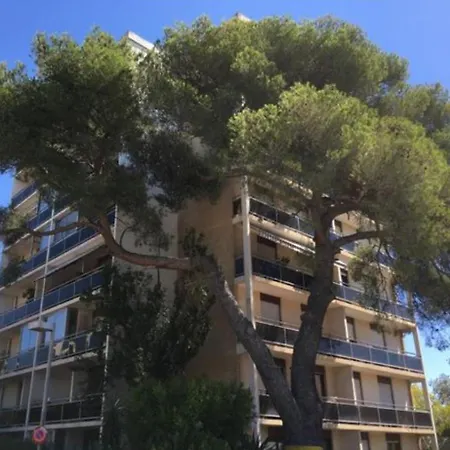 公寓 Vue Panoramique Dernier Etage Sans Vis A Vis 土伦
